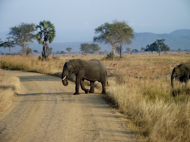 Malawi 066